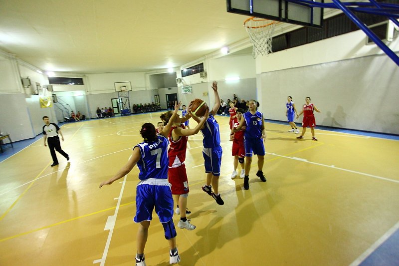 Basket 443063